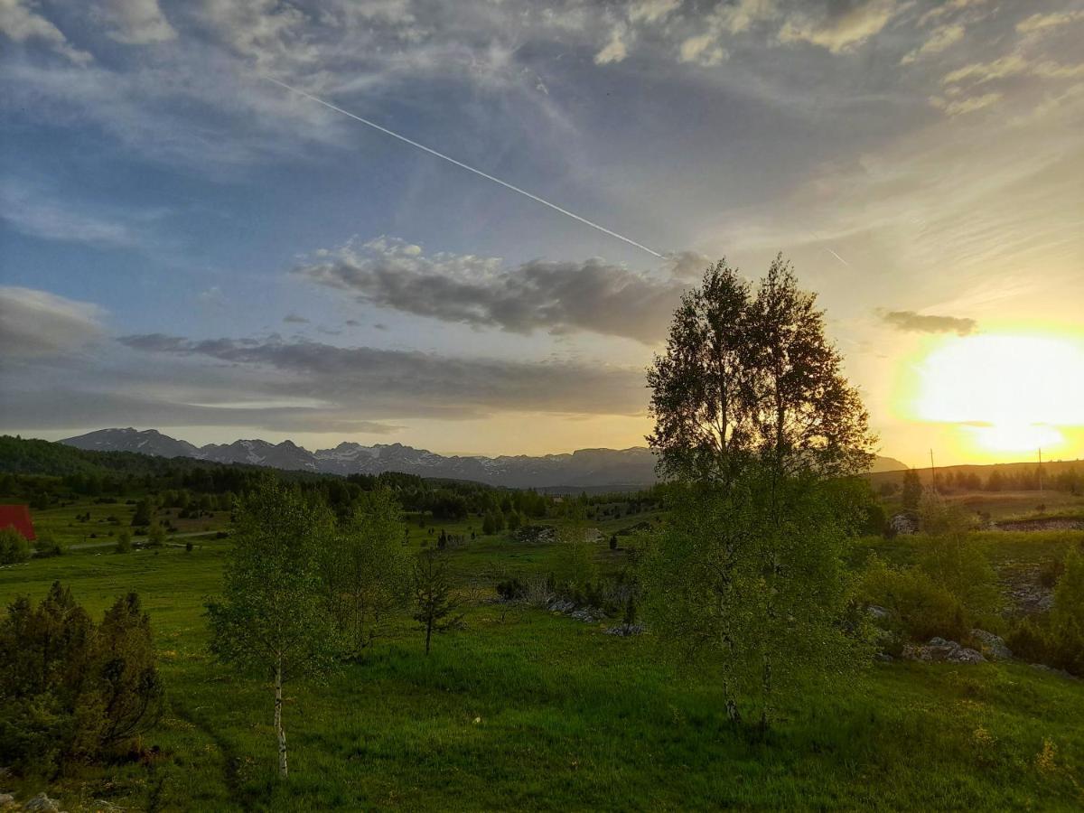 Villa Breza Žabljak Εξωτερικό φωτογραφία